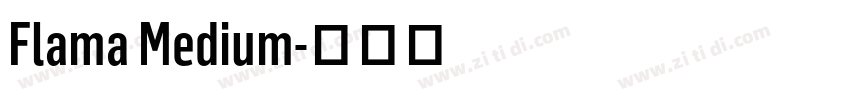 Flama Medium字体转换
